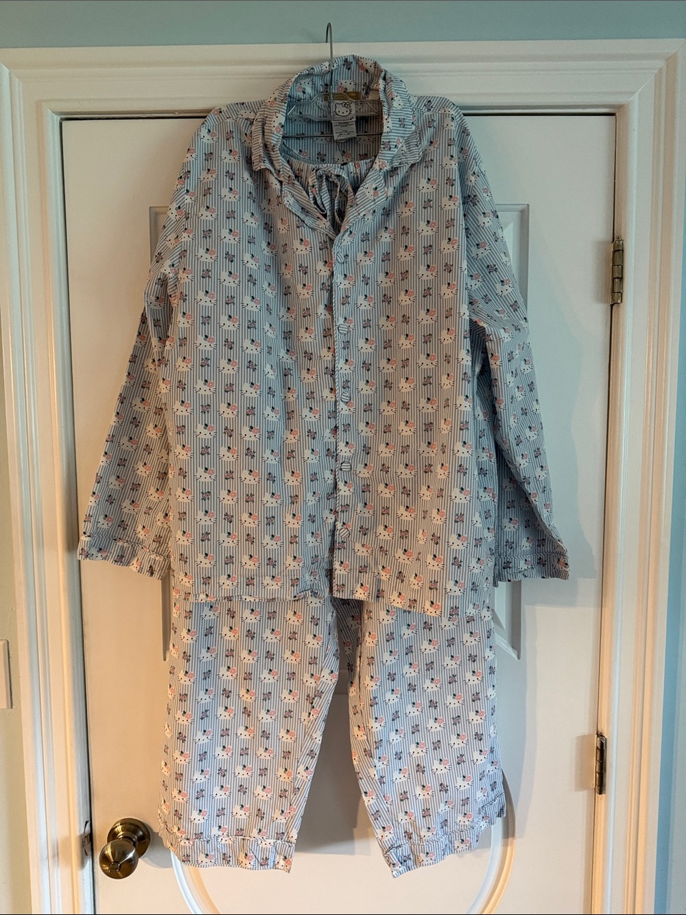 Hello Kitty Organic Cotton Pajamas NWOT